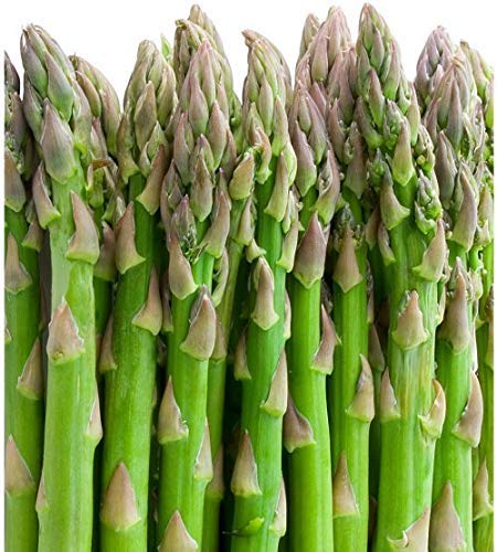 Mary Washington Asparagus Bare Root Plants - 100 Crowns for Home Gardening | Fresh Vegetable Planting & Perennial Garden Starter