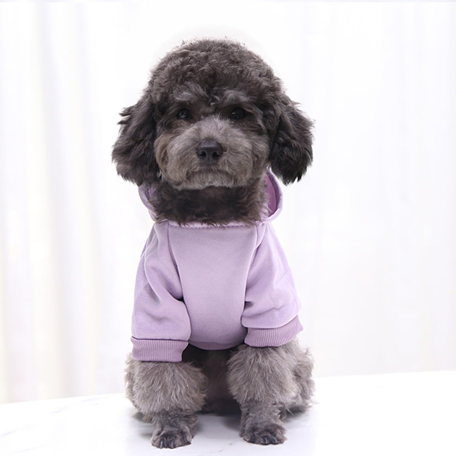 Winter Dog Coats & Sweatshirts for Small Dogs - Warm Hoodie for Chihuahua, French Bulldog & Other Small Breeds | Perfect for Outdoor Walks & Cold Weather Protection