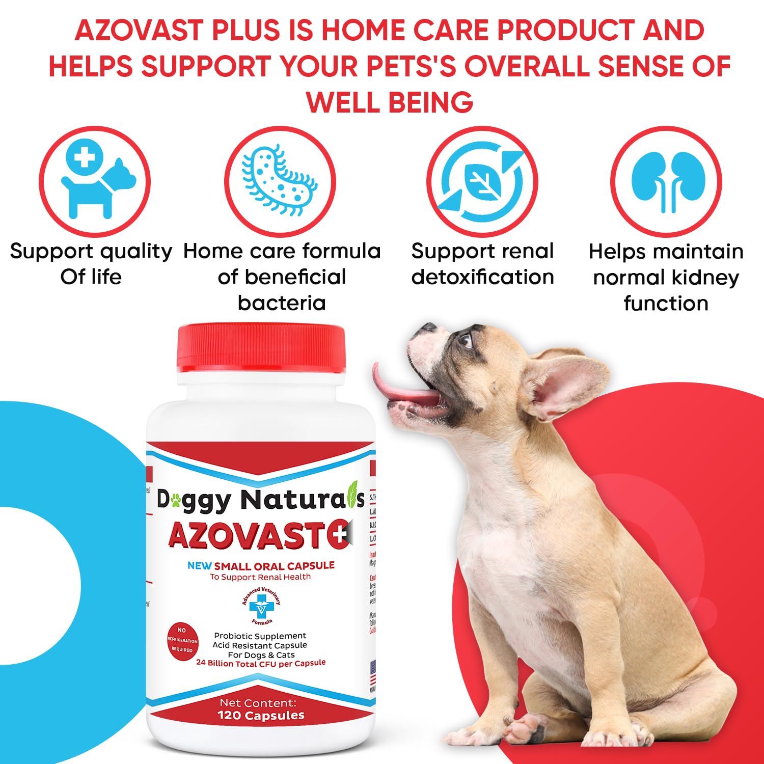 Azovast Plus Kidney Health Supplement for Dogs & Cats - 240 Capsules | No Refrigeration Needed | Supports Kidney Function & Manages Renal Toxins | Renal Care Supplement Made in USA | Ideal for Senior Pets & Pets with Kidney Issues