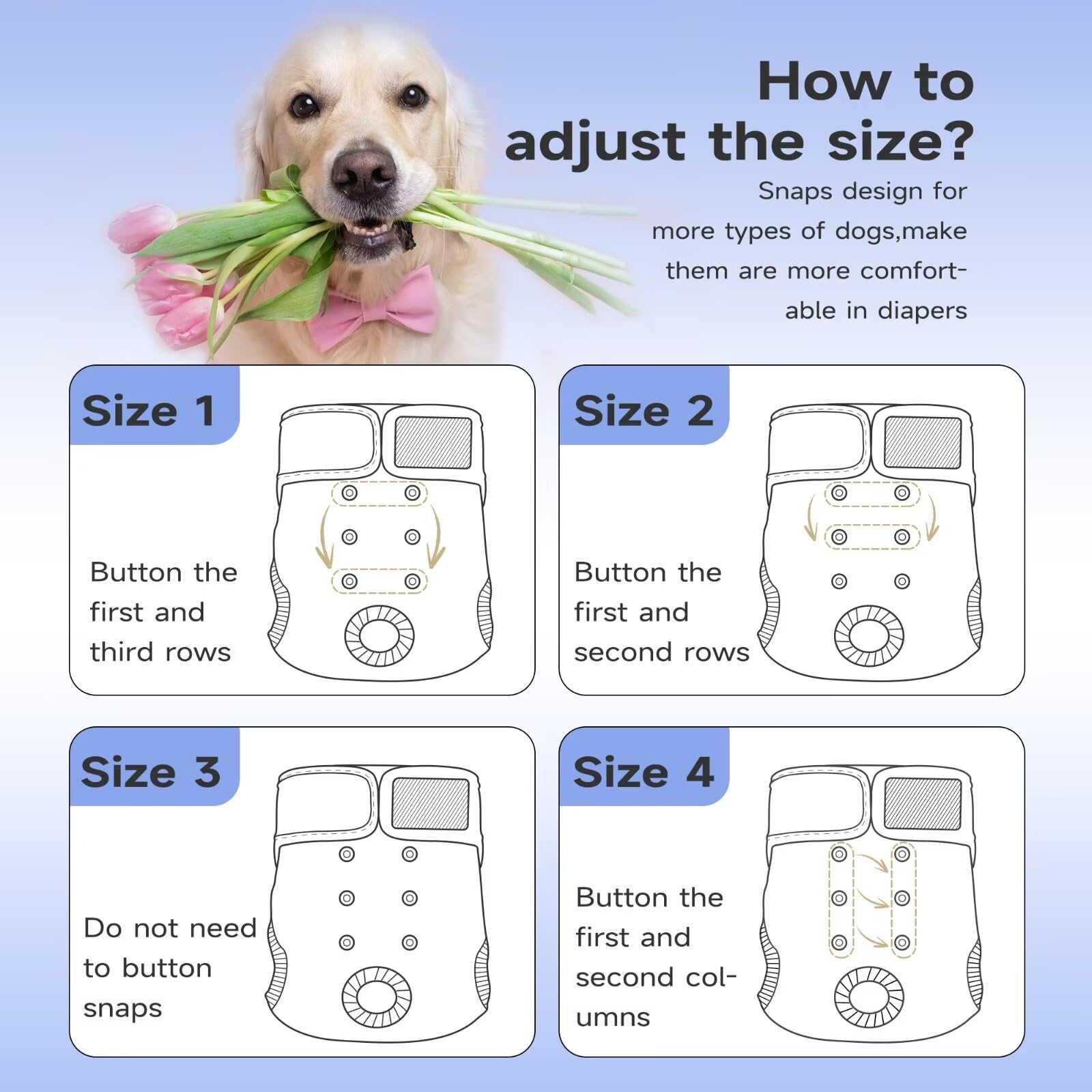 Paw Legend Washable & Reusable Female Dog Diapers for Heat Period - 3 Pack Large Size | Puppy Incontinence Protection | Perfect for Indoor Use, Travel & Nighttime