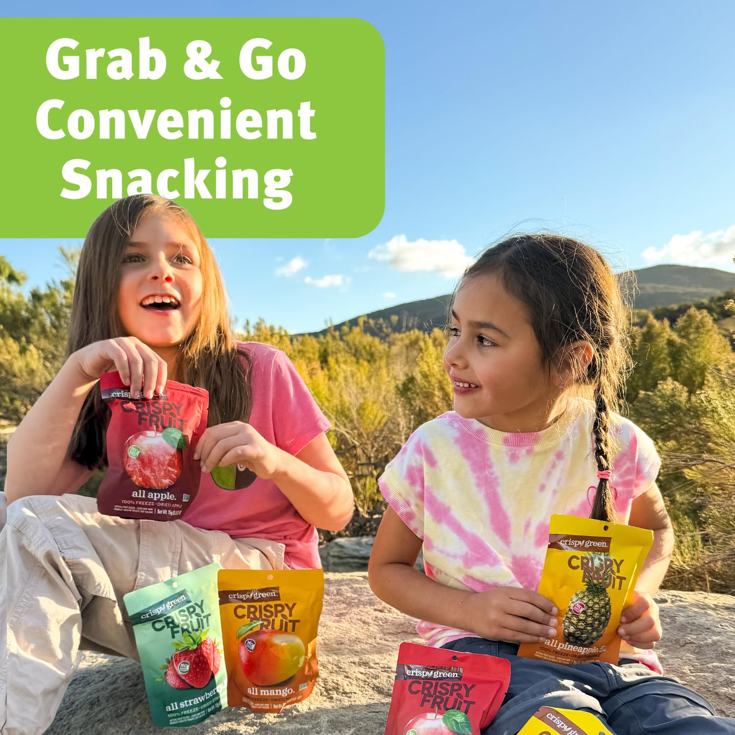 Best Freeze Dried Fruit Variety Pack - 16 Count Crispy Snacks (243g) | Healthy On-the-Go Snacking, Lunch Box Treats & Camping Food