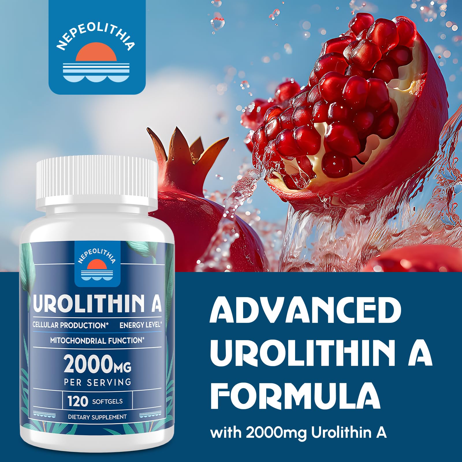 Urolithin A 2000mg Supplement - 120 Softgels | Gluten Free, Vegan & Non-GMO | Supports Cellular Health & Longevity | Perfect for Anti-Aging & Muscle Recovery