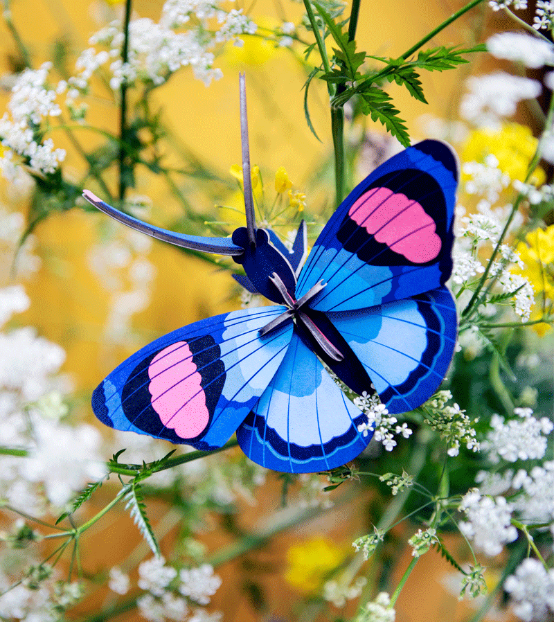 Peacock Butterfly Small Insect Art Print by Studio ROOF - Perfect for Home Decor, Nursery, and Office Wall Art