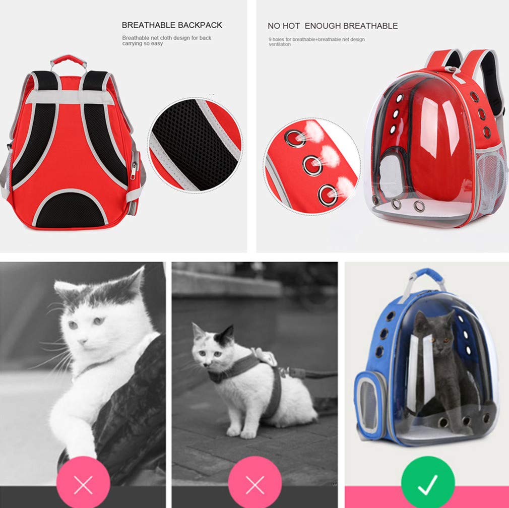 Airline Approved Pet Carrier Backpack - Transparent Bubble Space Capsule Design for Cats & Dogs, Portable Travel Bag for Hiking, Walking & Outdoor Adventures | Perfect for Air Travel, Vet Visits & Daily Commutes