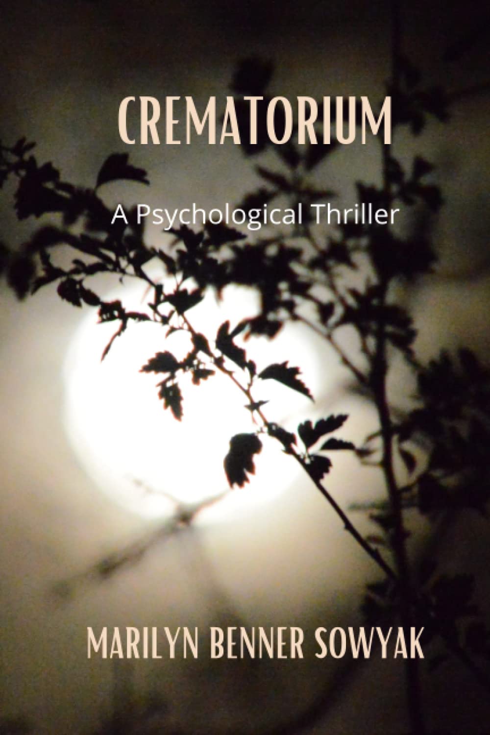 Crematorium: A Gripping Psychological Thriller Novel - Perfect for Mystery Lovers & Book Club Discussions