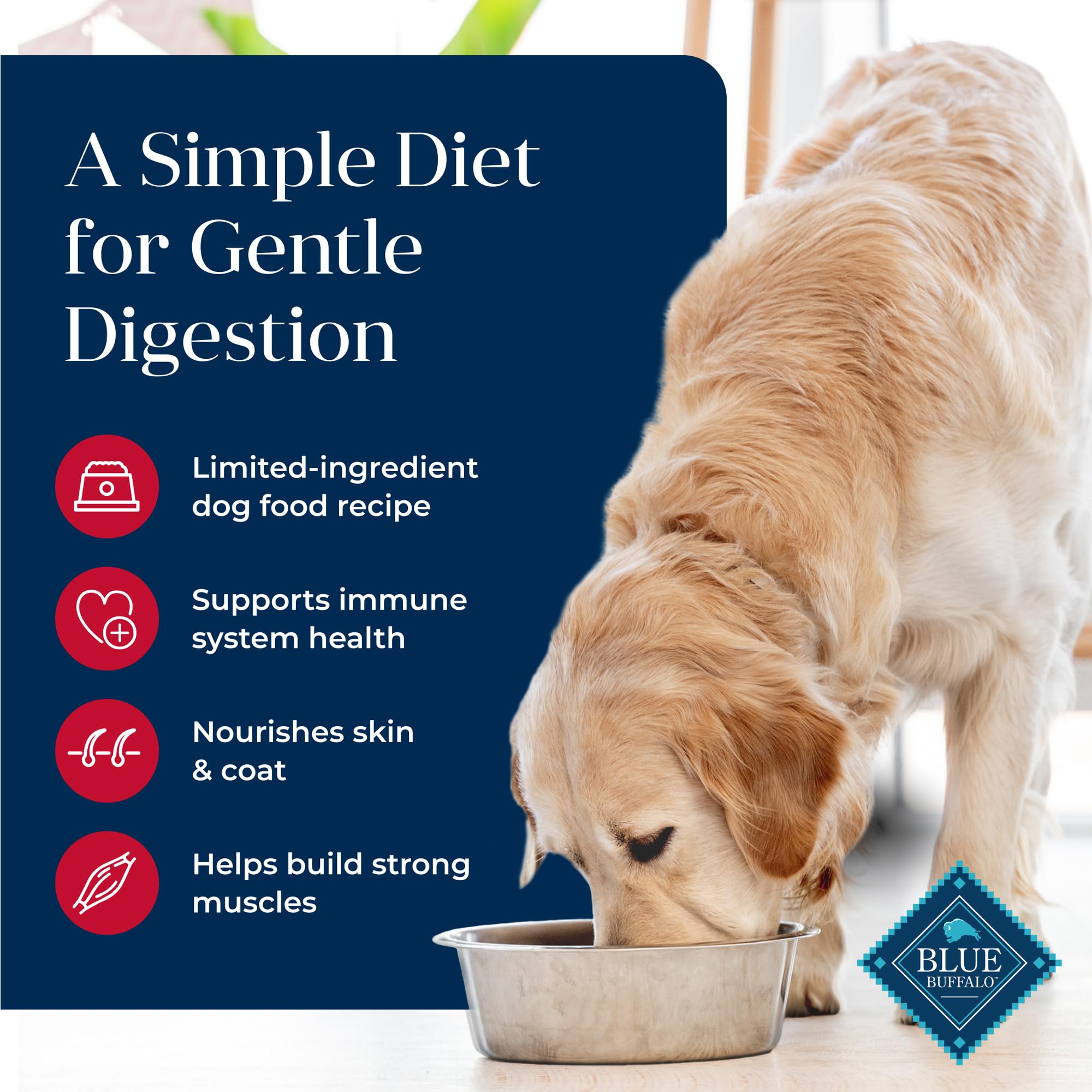 Blue Buffalo Basics Grain-Free Adult Dry Dog Food for Sensitive Skin & Stomach - Limited Ingredient Diet with Salmon Recipe - 4lb Bag - Perfect for Dogs with Allergies & Digestive Issues