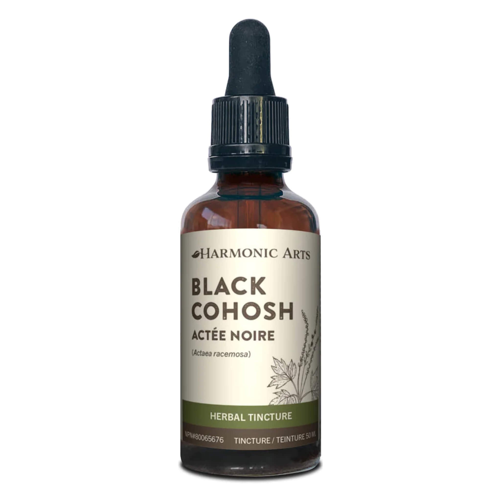 Black Cohosh Root (Cimicifuga Racemosa) - Organic Herbal Supplement for Menopause Relief & Women's Wellness - Supports Hormonal Balance & Natural Sleep Aid