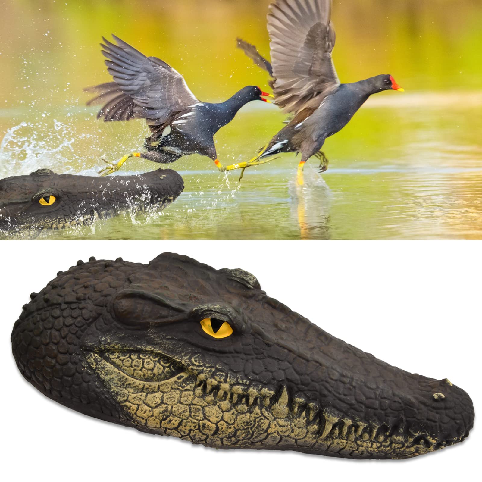 Realistic Floating Alligator Head Decoy for Ponds & Pools - White Mouth Crocodile Float Deterrent for Ducks & Geese - Outdoor Water Garden & Swimming Pool Decoration - Perfect for Wildlife Control & Themed Party Decor