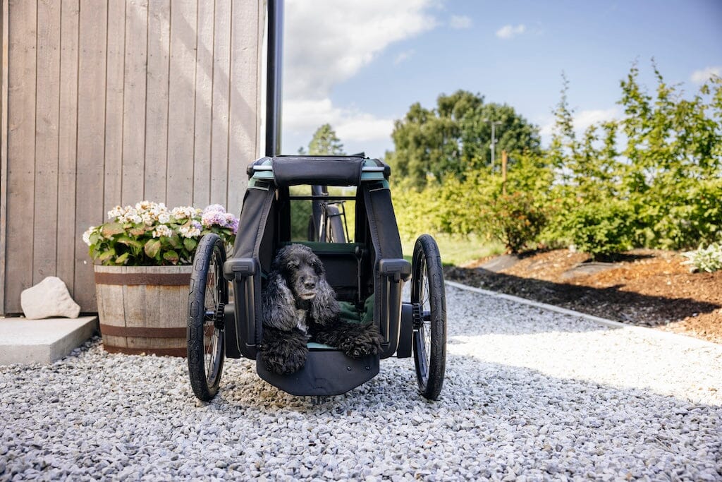 Thule Bexey Dog Bike Trailer - Safe & Comfortable Pet Carrier for Cycling, Jogging & Outdoor Adventures - Fits Small to Medium Dogs