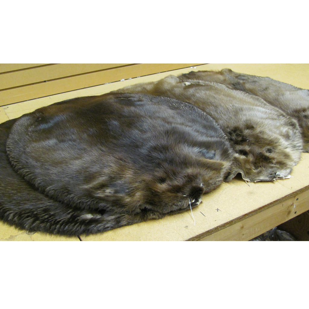Premium Beaver Fur Jacket for Men - 3XL, 4XL, 5XL Sizes - Warm Winter Outerwear for Hunting & Outdoor Adventures