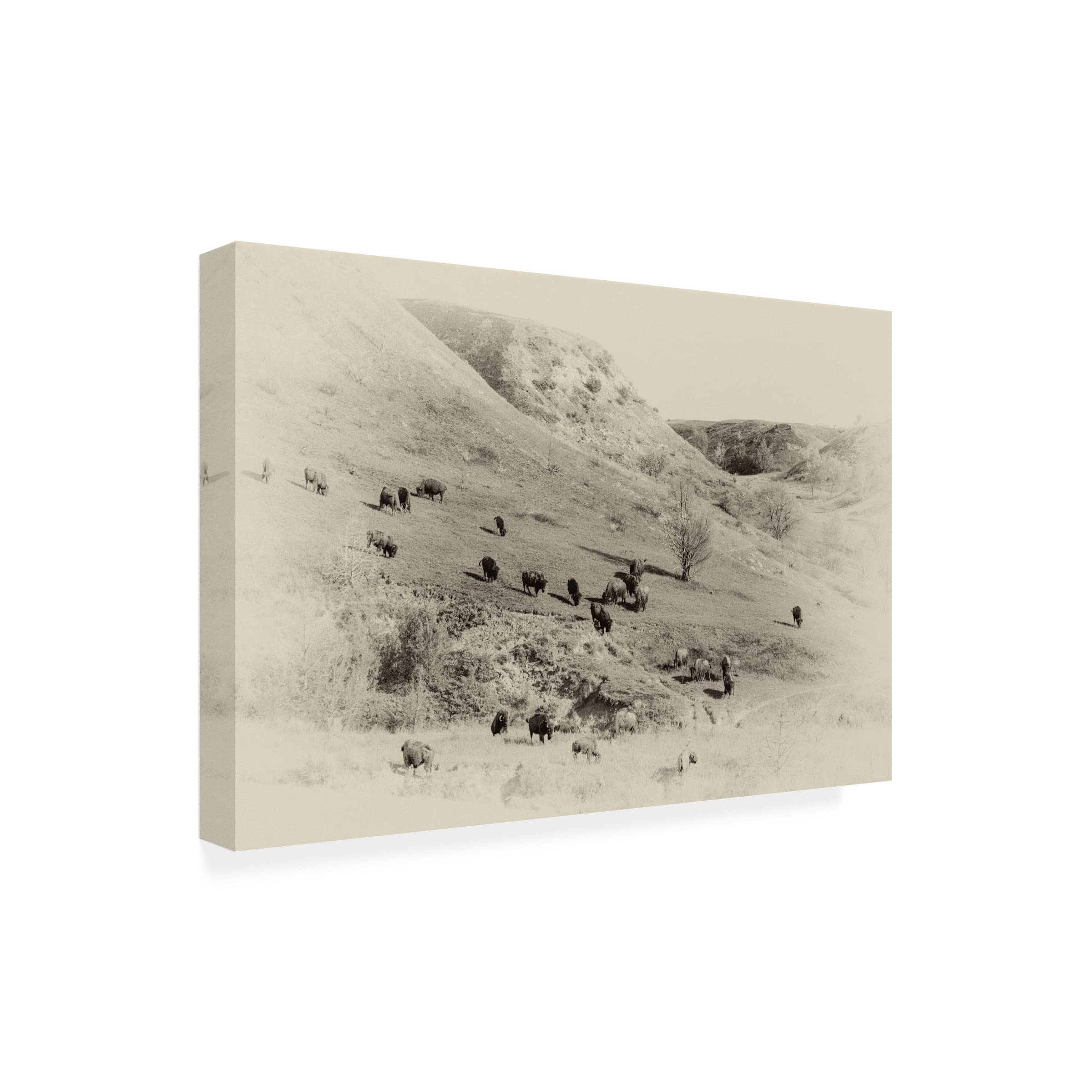 Gordon Semmens 'Badlands Antique 08' Canvas Art Print - 16x24 Inch Western Landscape Wall Decor - Perfect for Living Room, Office & Ranch Style Home Decor