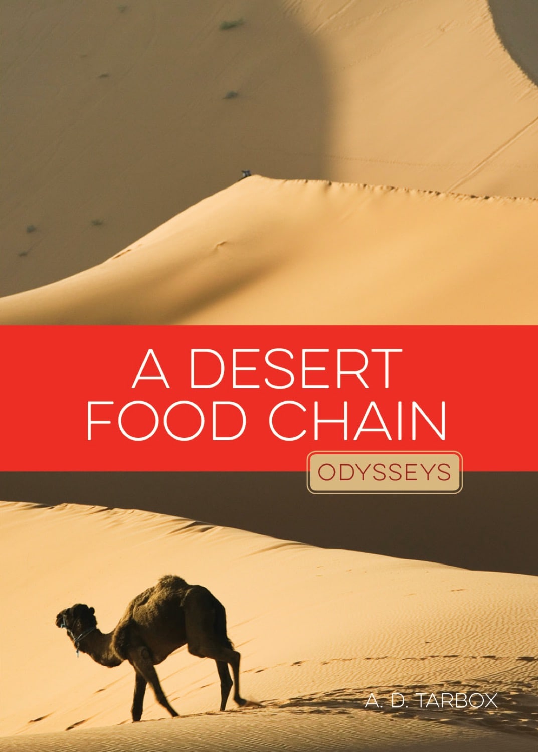 Desert Food Chain - Educational Ecosystem Model for Kids | Science Classroom Learning & Homeschool Activities