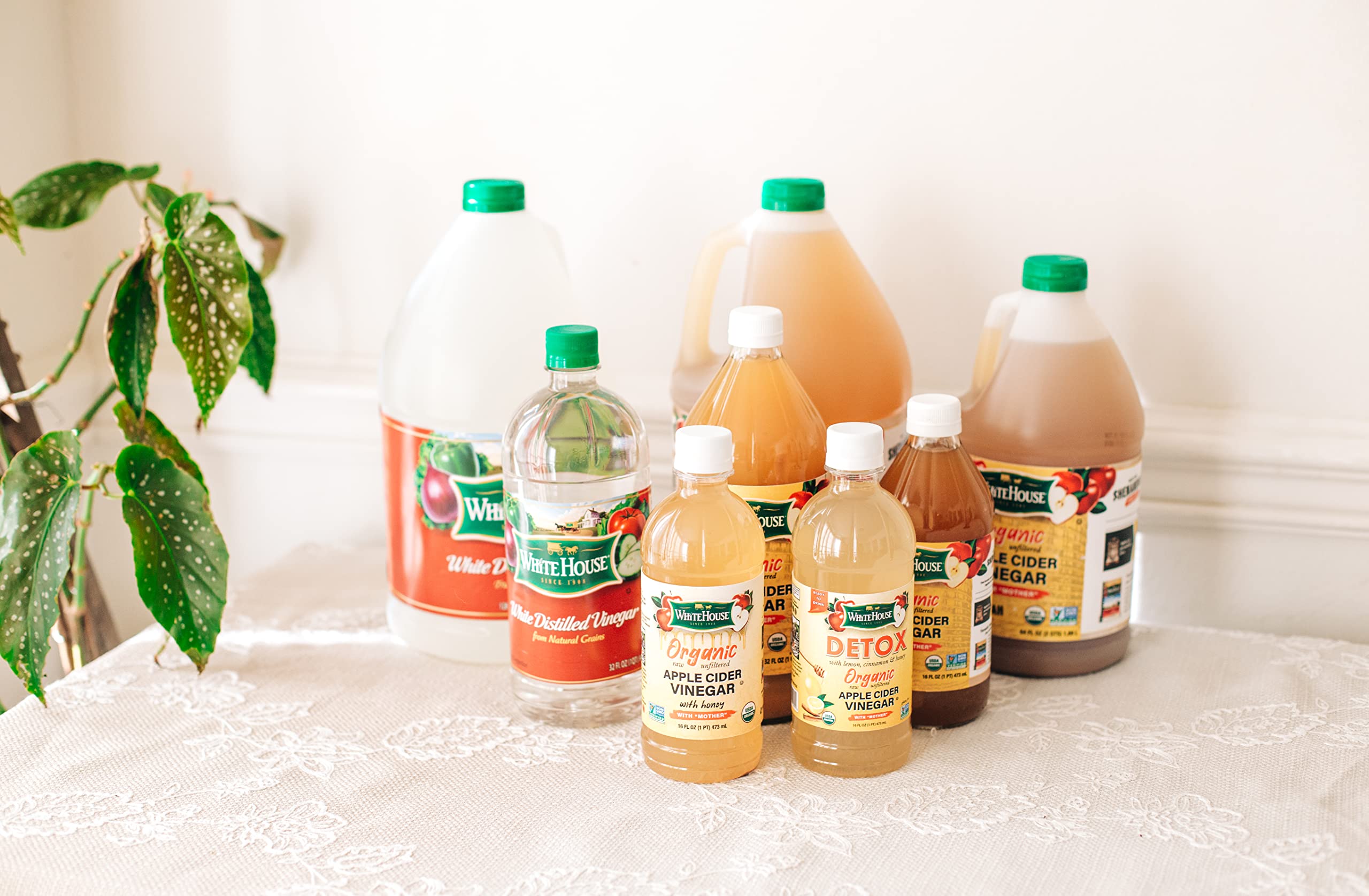 Organic Apple Cider Vinegar Shots - Raw Unfiltered with The Mother - 24 Pack | Immune Support & Digestive Health | Perfect for Travel, Detox & Wellness Routine
