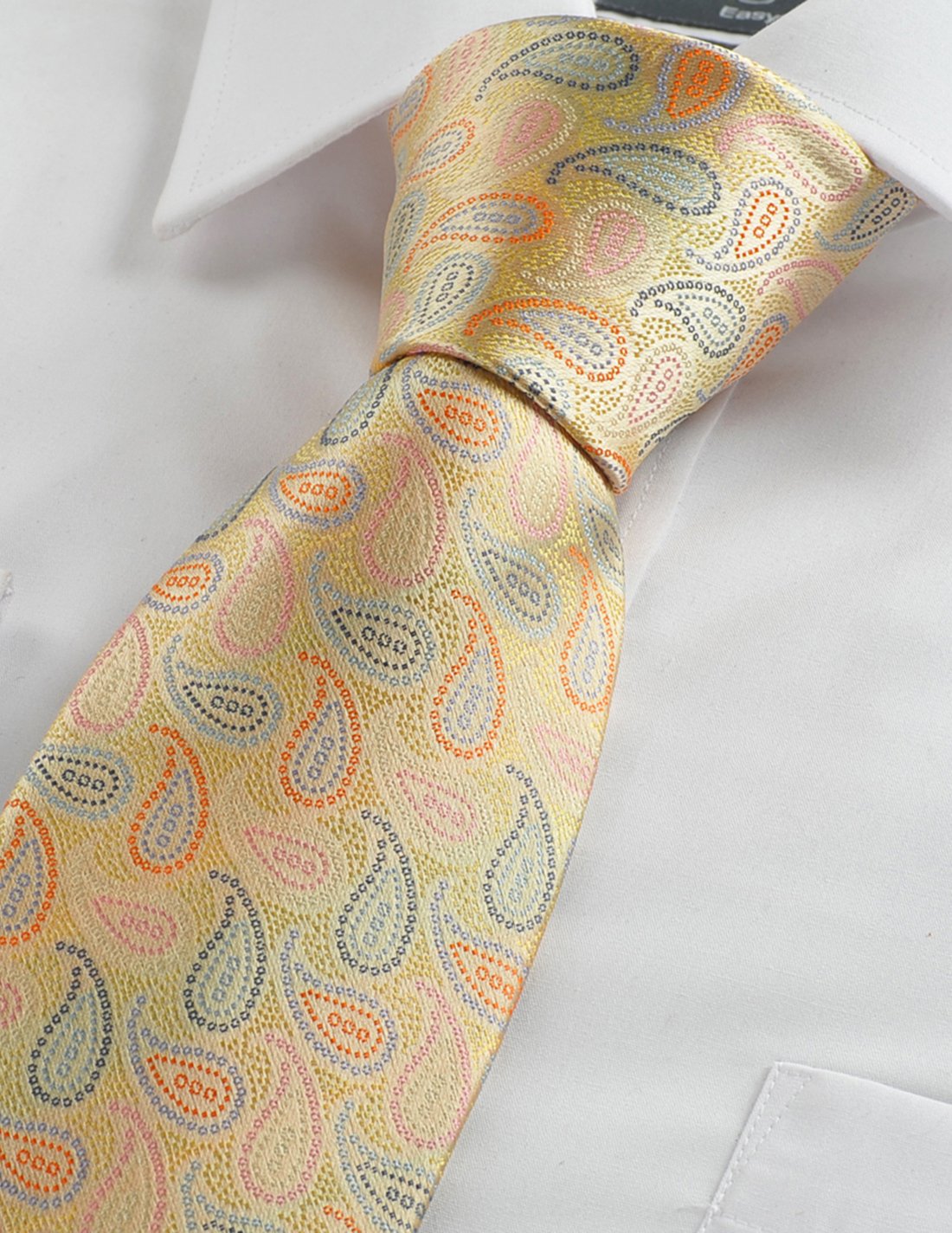 KissTies Men's Classic Paisley Necktie - Formal Silk Tie with Gift Box for Business, Wedding & Special Occasions