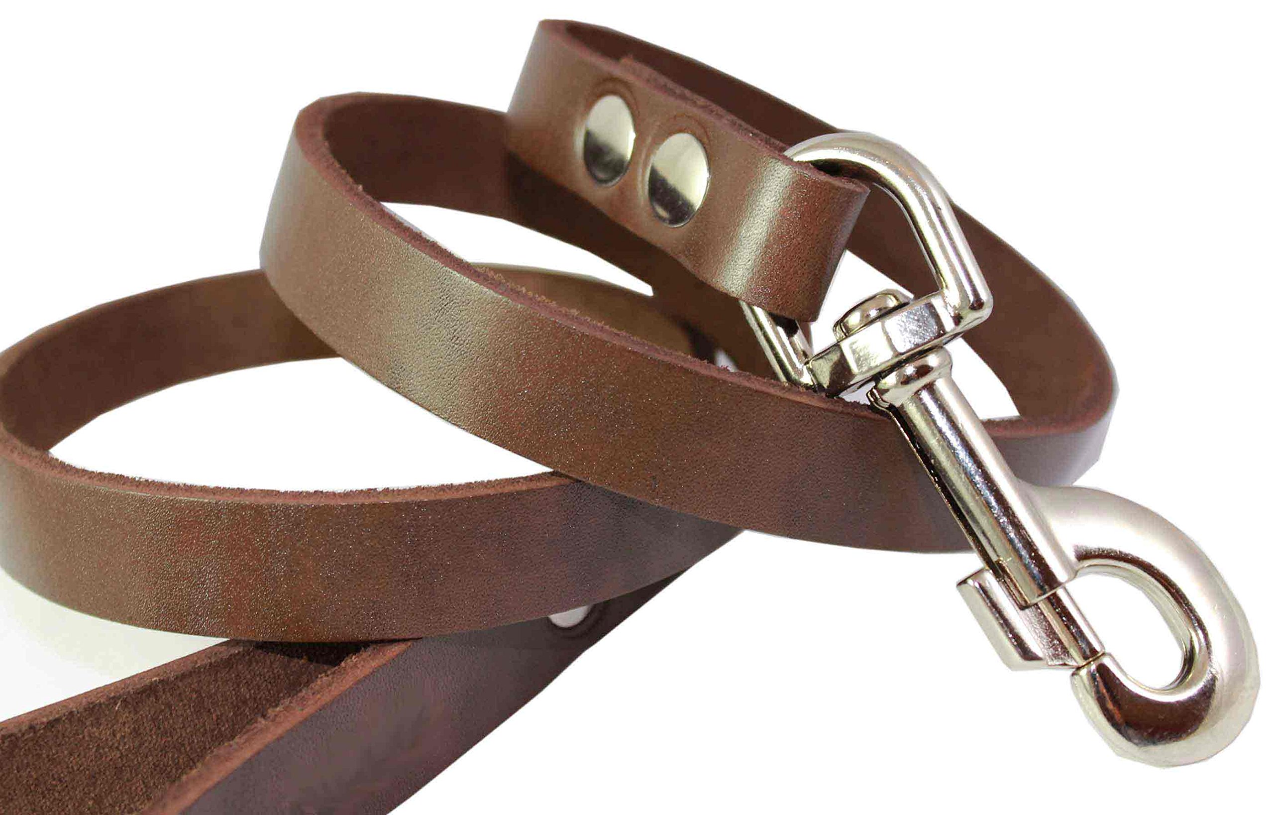 4' Genuine Leather Dog Leash - 3/4