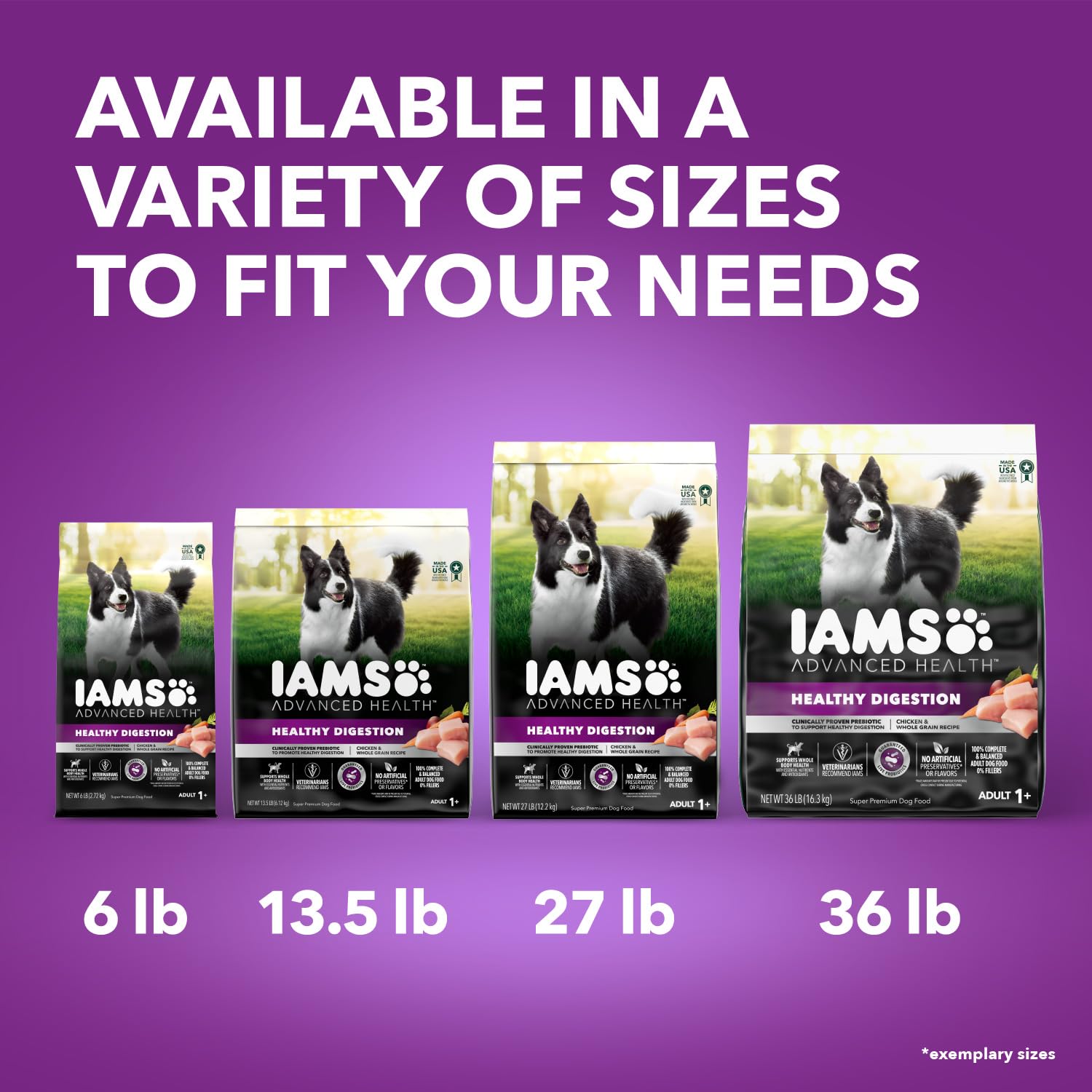 Iams Advanced Health Adult Healthy Digestion Dry Dog Food with Real Chicken - 6 lb Bag | Premium Nutrition for Sensitive Stomachs & Digestive Support | Perfect for Adult Dogs at Home or Travel