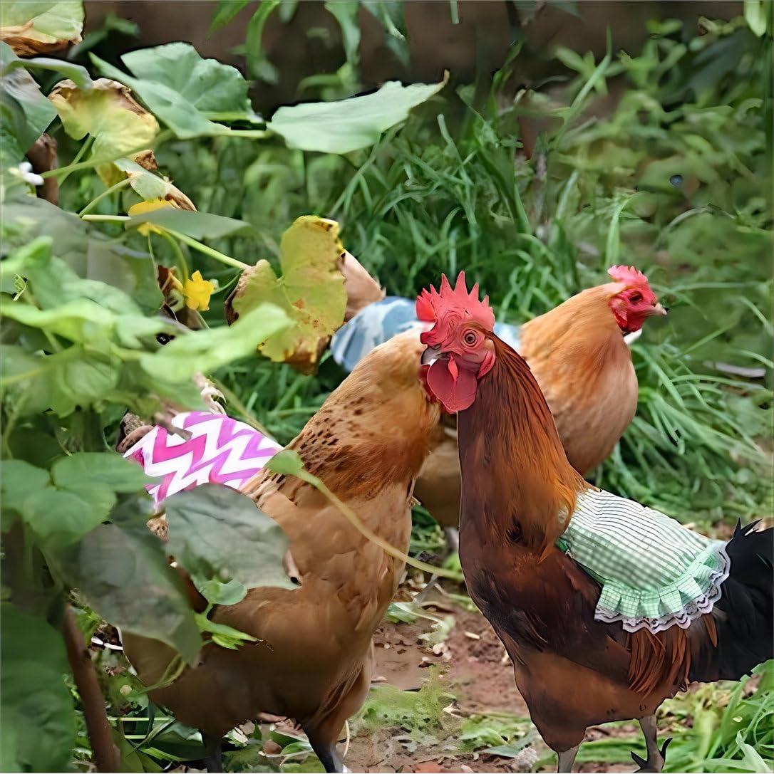 6pcs Chicken Saddles for Hens - Protective Hen Apron, Poultry Saver Vest, Chicken Protector Clothes for Backyard Flock (Ideal for Preventing Feather Loss & Pecking Injuries) - Perfect for Free-Range Chickens, Small Farms & Backyard Coops