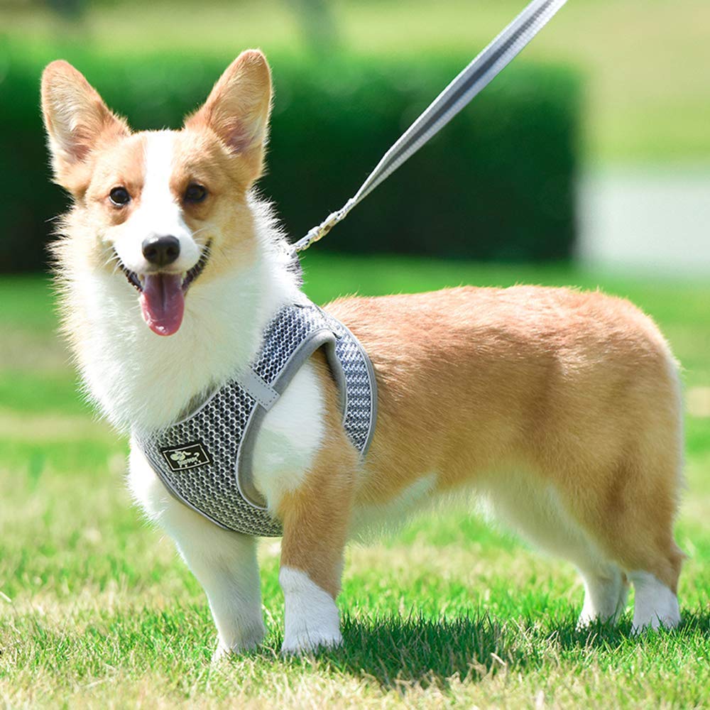 Escape-Proof Adjustable Reflective Pet Harness with Leash for Small & Medium Dogs & Cats - Soft Mesh Comfort Fit No-Pull No-Choke Design (XS, Grey) - Perfect for Walking, Training & Outdoor Adventures