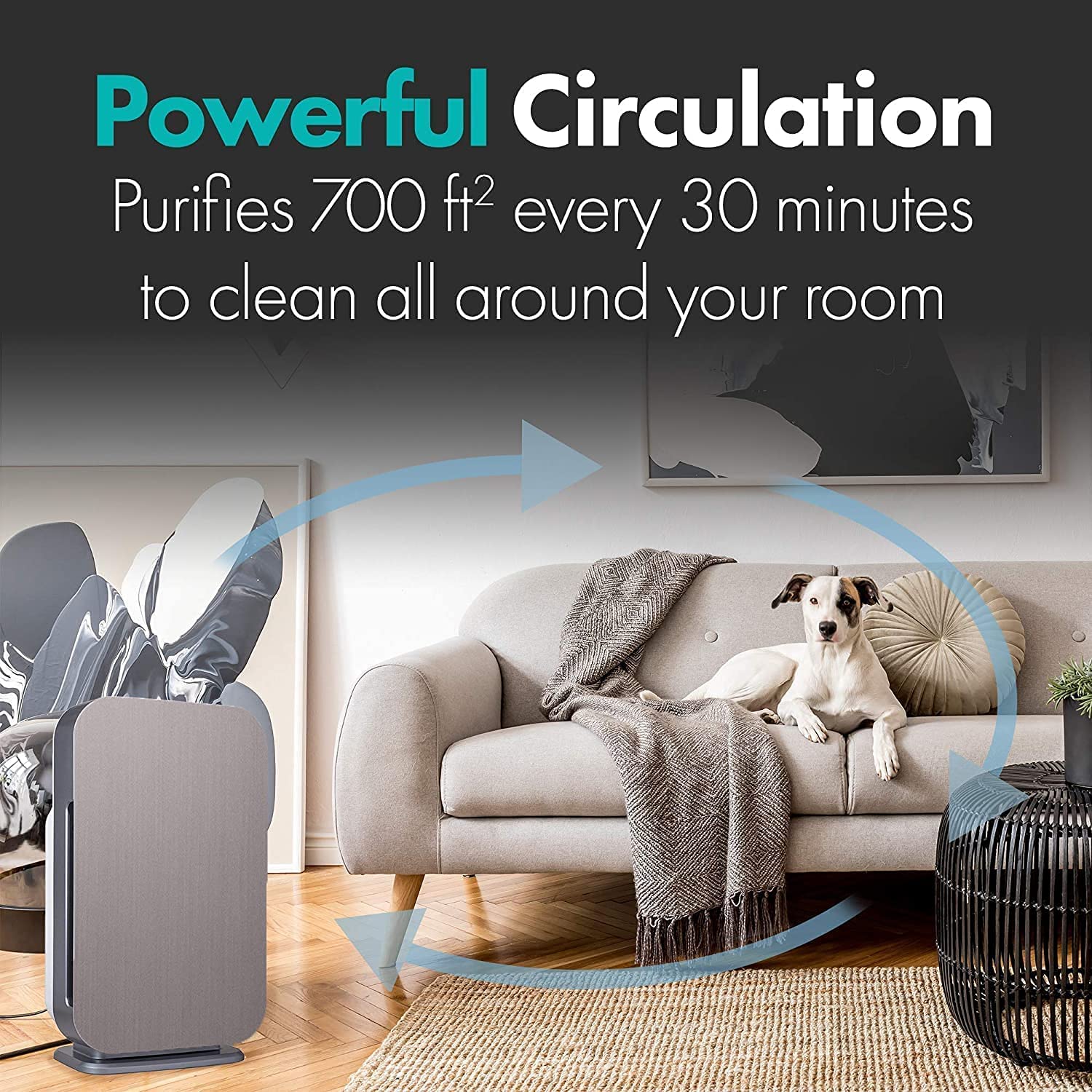 Alen BreatheSmart Flex HEPA Air Purifier for Large Rooms up to 1400 Sq Ft | Pure Filter Captures Allergens, Dust & Mold | Ideal for Bedroom, Home Office & Living Room | Brushed Stainless Steel Design
