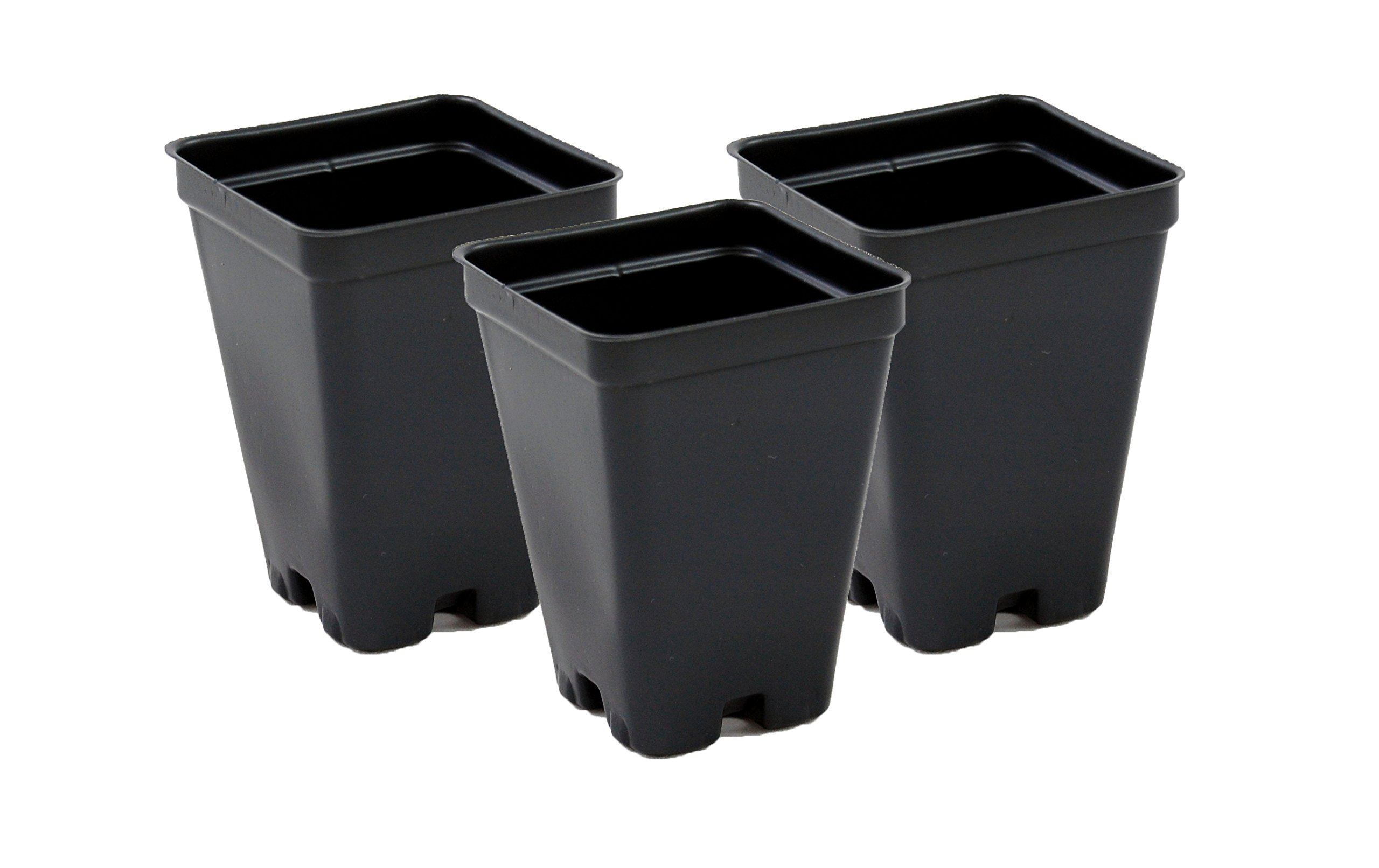 2.5 Inch Black Square Plastic Greenhouse Pots - Deep Design - Case of 800 - Ideal for Seedlings, Herbs & Indoor Gardening