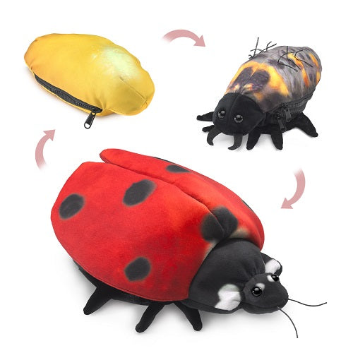 Folkmanis Ladybug Life Cycle Puppet - Educational Insect Toy for Kids, Realistic Hand Puppet for Storytelling & Classroom Learning - Perfect for Preschool, Daycare & Nature Exploration Activities