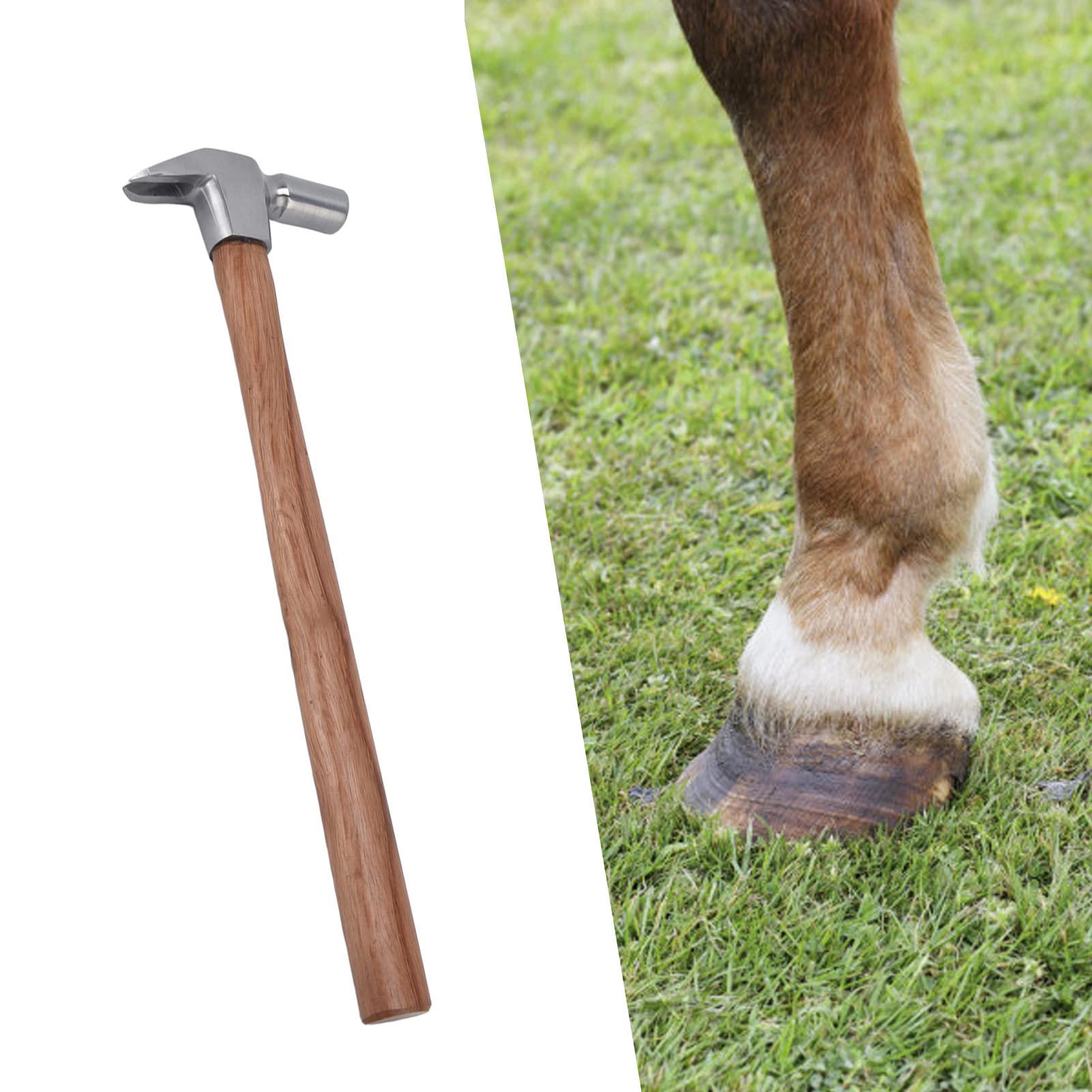 Professional Farrier Hoof Grooming Tool - Atyhao Horseshoe Trim Pliers with Ergonomic Handle for Strong & Stable Horseshoe Pruning | Perfect for Farriers, Equestrians & Horse Care Professionals | Ideal for Horseshoes Trimming, Hoof Care & Stable Maintenance