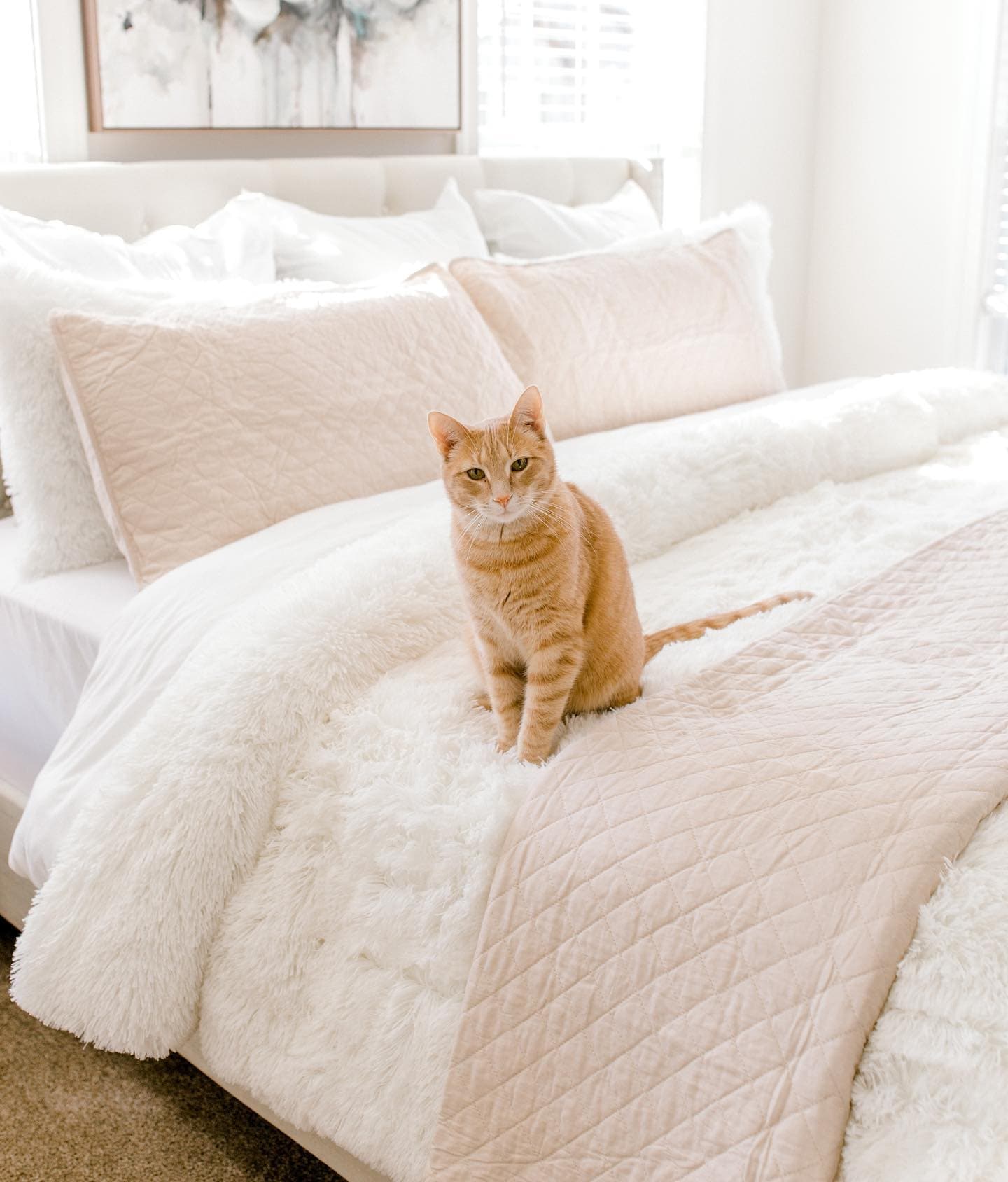 Emma Faux Fur Comforter Set - Soft & Luxurious Bedding Collection for Winter - Queen/King Size - Perfect for Cozy Bedrooms, Guest Rooms & Winter Home Decor