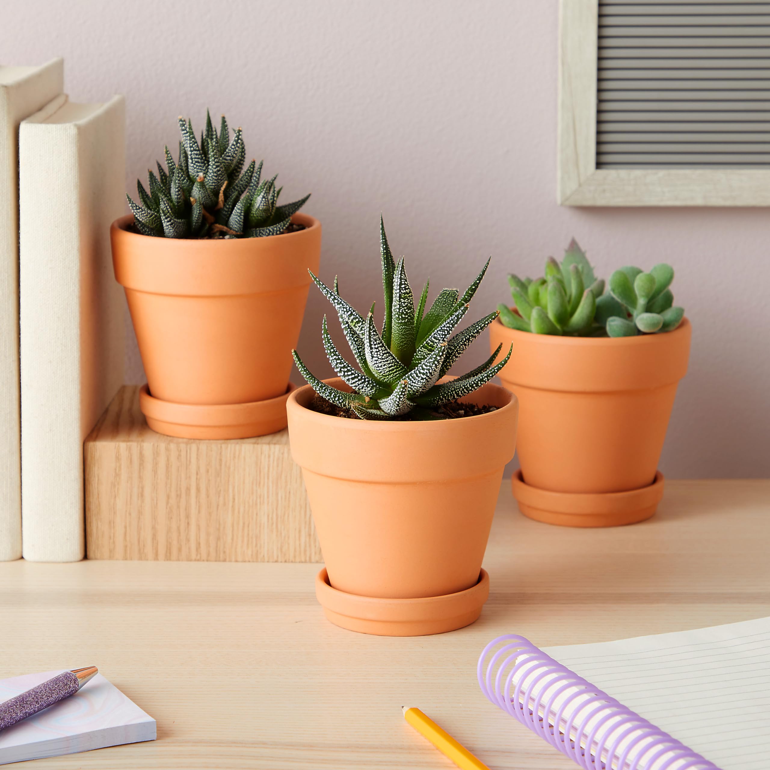 Juvale 4-inch Small Terracotta Pots (6-Pack) with Saucers & Drainage Holes - Clay Planters for Succulents, Flowers, Herbs - Perfect for Indoor Windowsills, Outdoor Gardens & Home Decor