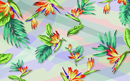 Tropics