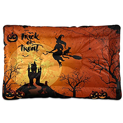 Halloween Witch