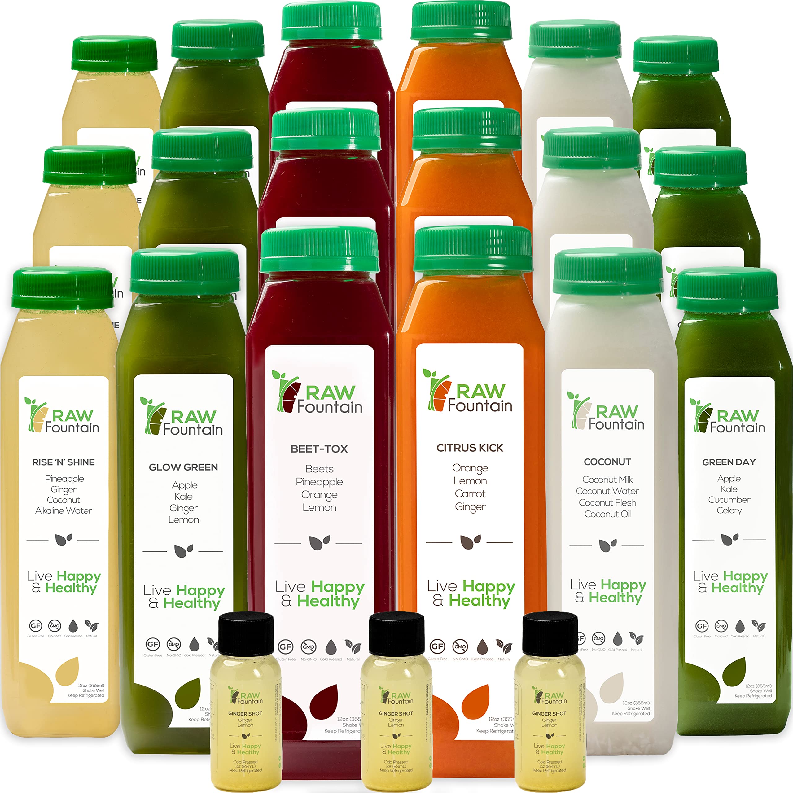 Raw Fountain 3-Day Juice Cleanse | All Natural Cold Pressed Detox Juice Fast | 18 Bottles (12oz) + 3 Ginger Shots | Body Reset & Weight Loss | Perfect for Post-Holiday Detox, Fitness Prep & Healthy Lifestyle Jumpstart