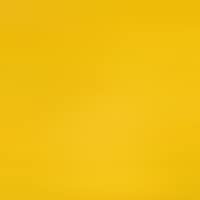 Yellow (P63)