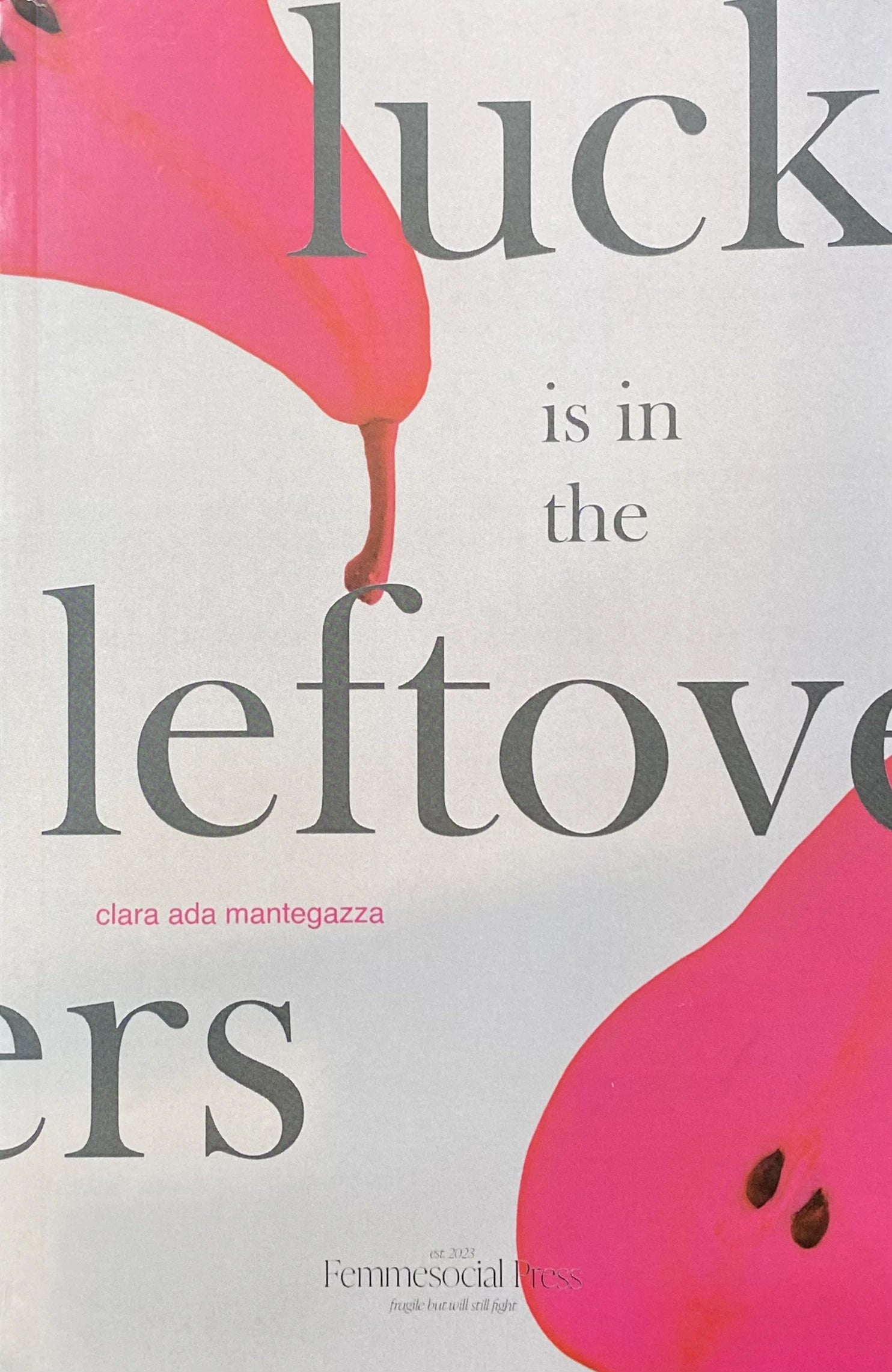 Luck is in the Leftovers - Clara Ada Mantegazza | Vintage Italian Art Print | Perfect for Home Decor, Office Wall Art & Gift Giving