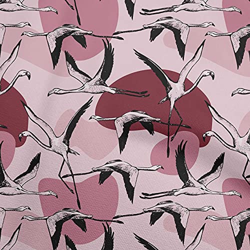 Light Pink Salmon