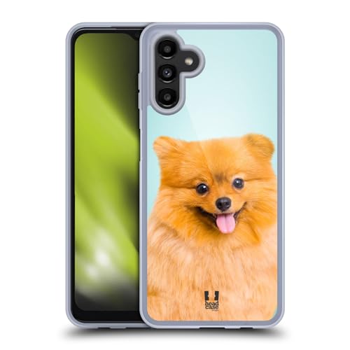 Pomeranian Dog