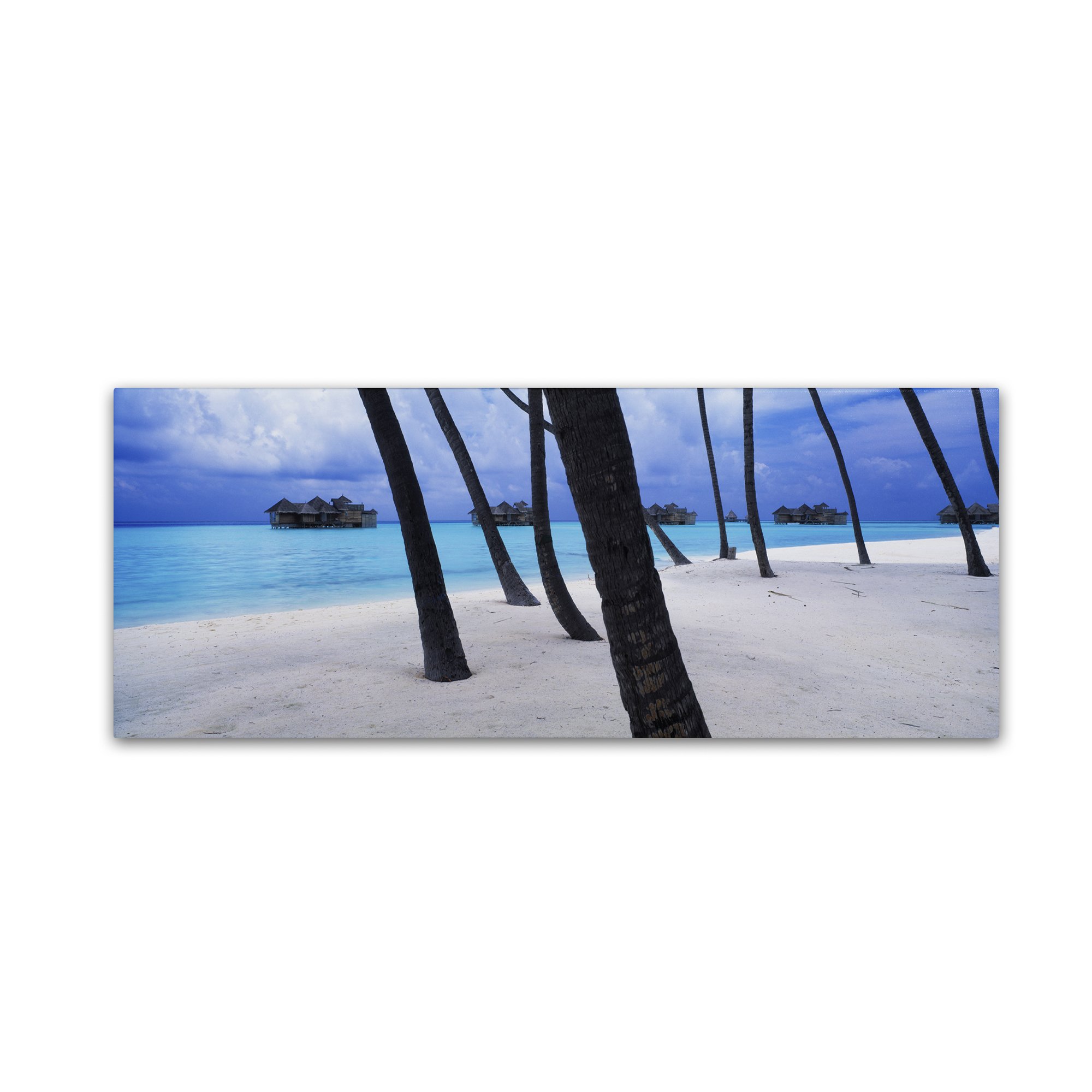 David Evans Beach Palms-Maldives Wall Art Print - 16x47 Inch Tropical Coastal Decor for Living Room, Bedroom & Office - Trademark Fine Art