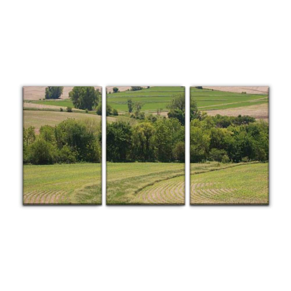 Gracelapin Modern Canvas Wall Art - Nebraska Cornfield Landscape Oil Painting, Contour Farming Decor for Home, Office & Bedroom - Set of 3 Framed Prints (16x24 Inches) - Perfect for Farmhouse, Rustic & Country Style Interior Design