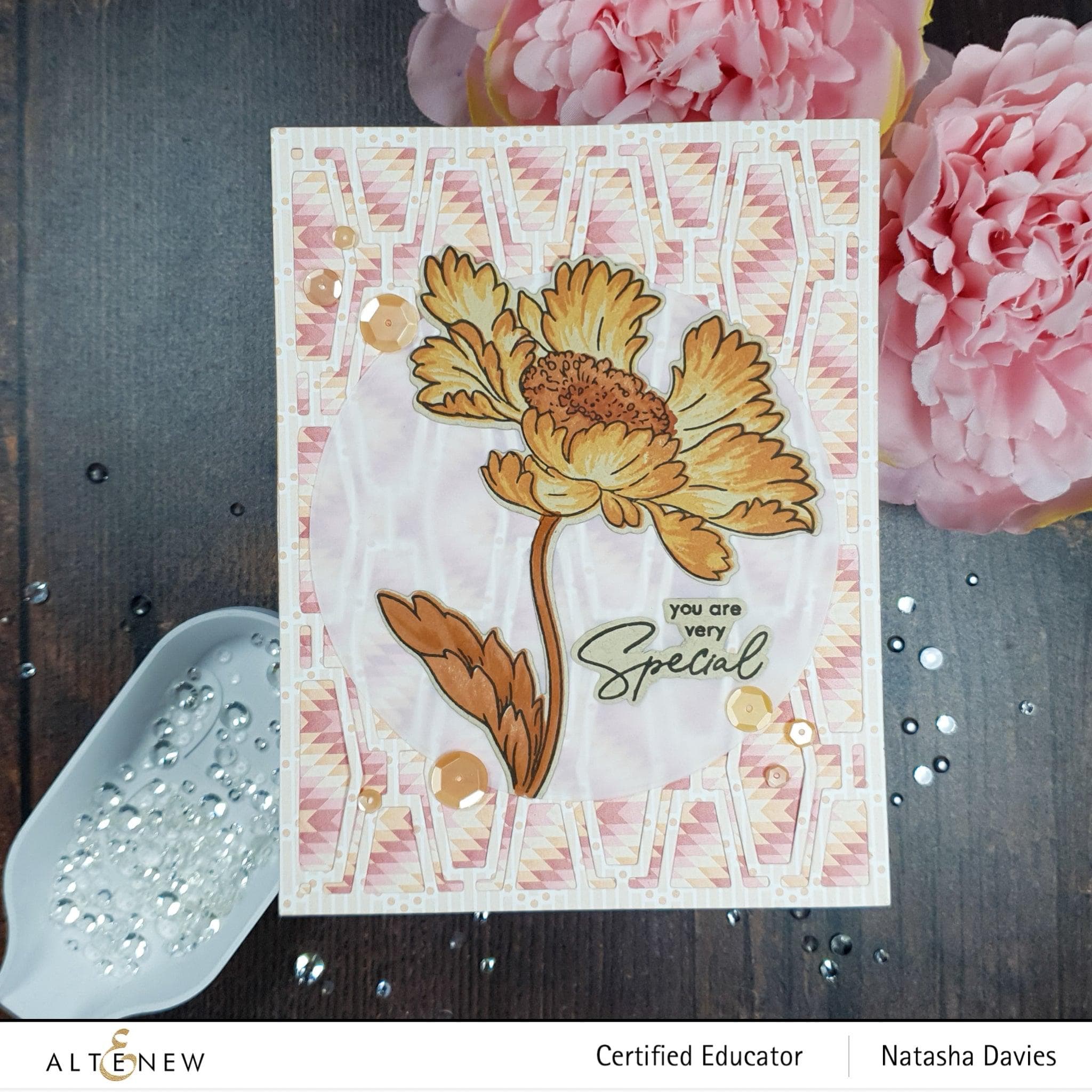 Candystripe Cosmos Layering Stamp & Die Set for Card Making - Floral DIY Scrapbooking & Paper Crafting Supplies for Handmade Greeting Cards, Invitations, and Home Decor Projects