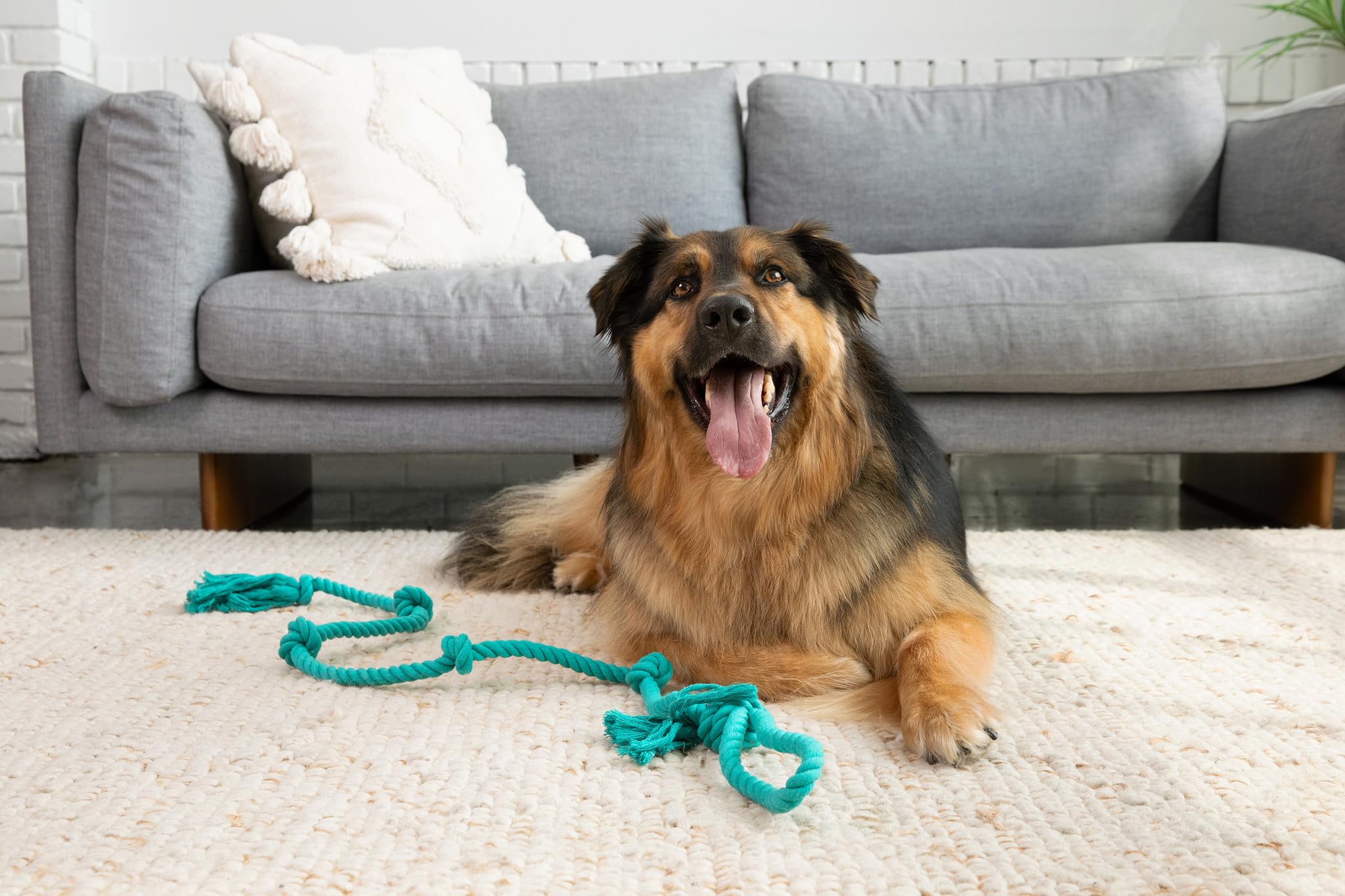 Tumbo Tough Tug Rope Dog Toy - 5ft Long Durable Rope Pull Toy with Handle for Large Dogs | Tug of War Game | Chew Resistant & Strong for Aggressive Chewers | Perfect for Outdoor Play, Training & Bonding (Bahama Blue)