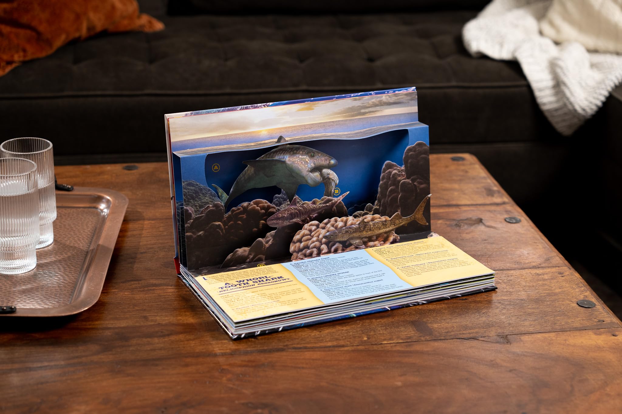 Shark World: 3D Pop-Up Book for Kids - Interactive Ocean Adventure & Educational Learning - Perfect for Gifts, Classrooms & Bedtime Stories