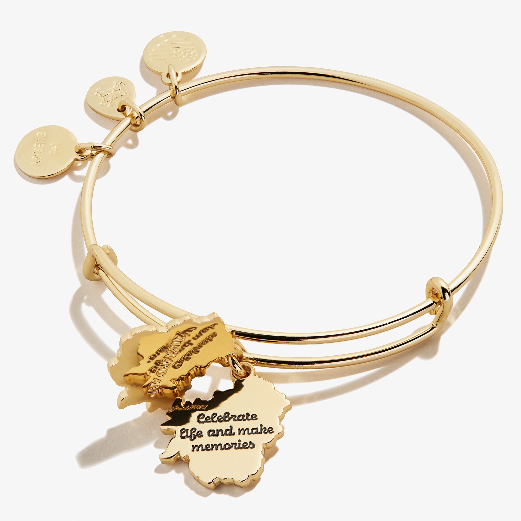 Delphinium Flower Mantra Charm Bangle - Elegant Boho Spiritual Jewelry for Women - Perfect for Yoga, Meditation & Everyday Wear