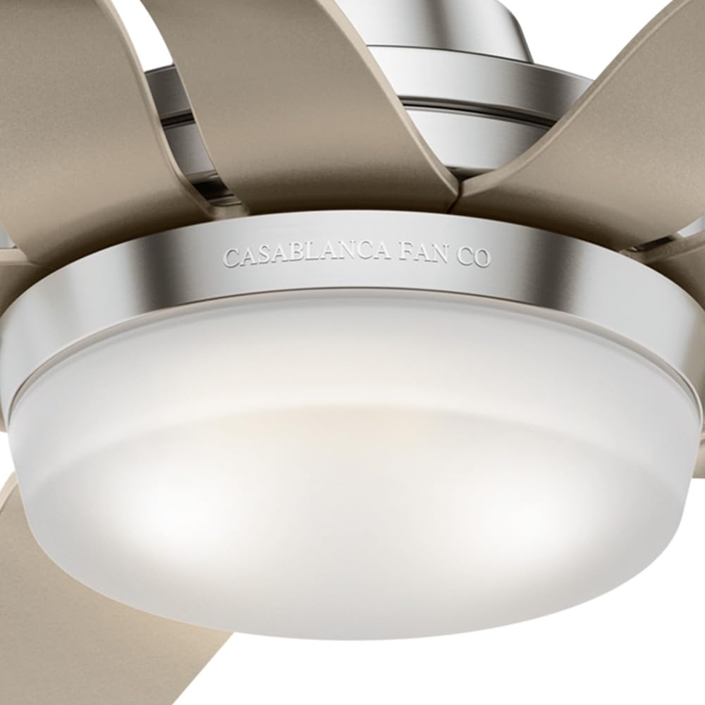 Hunter Fan Company Casablanca 56