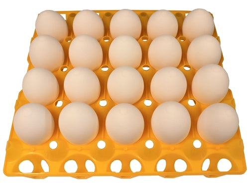 48 Pack of 20 Duck, Goose, Turkey & Peafowl Egg Trays - Heavy Duty Egg Cartons for Poultry Farmers, Egg Collectors & Backyard Chicken Keepers - Perfect for Farm, Market & Home Use