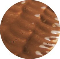 Clearly Cocoa