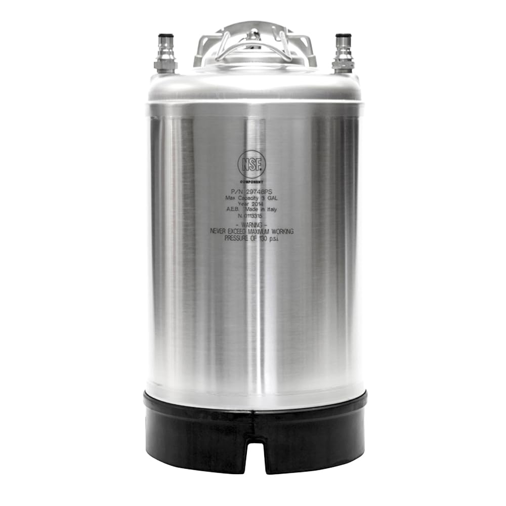 AEB 2-Pack 3 Gallon Ball Lock Kegs with Single Handle - Homebrew Beer, Soda, Kombucha - Perfect for Home Brewing, Parties & Bars
