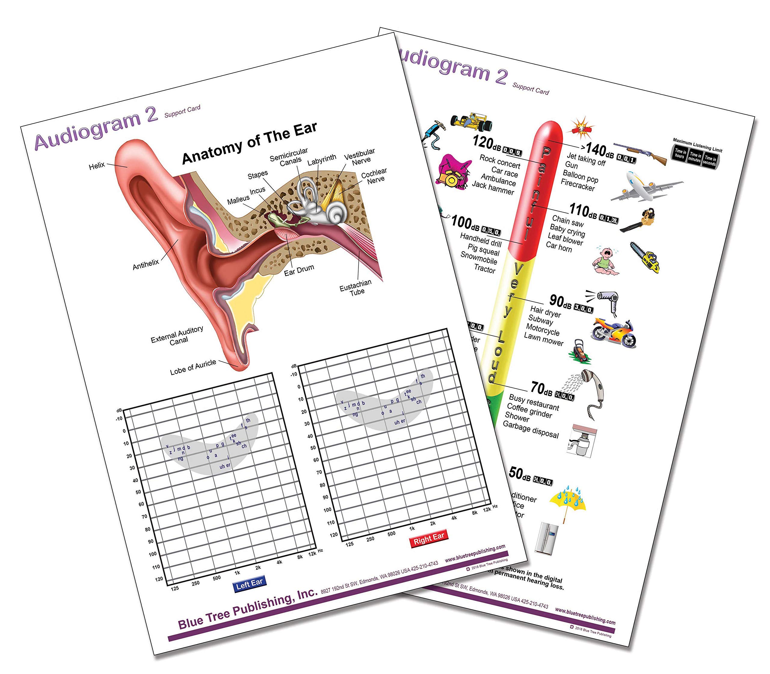 Audiologist-Approved Daily Noise Chart - Common Sounds & Decibel Levels (A4 Size) - Perfect for Hearing Health Awareness & Classroom Education