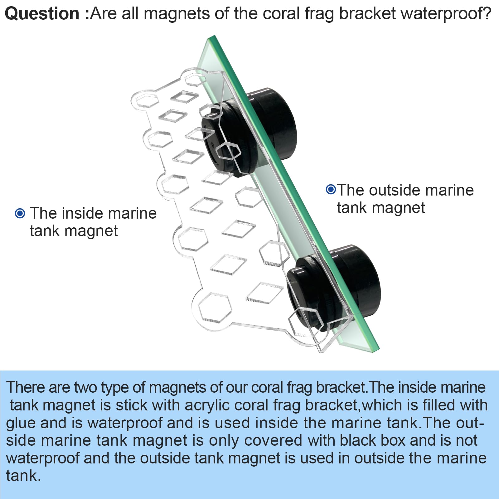 Aquarium Coral Frag Rack Magnetic Holder - 11 Coral Plug Reef Magnets for Saltwater Tanks | Perfect for Coral Propagation, Frag Displays & Reef Aquarium Maintenance