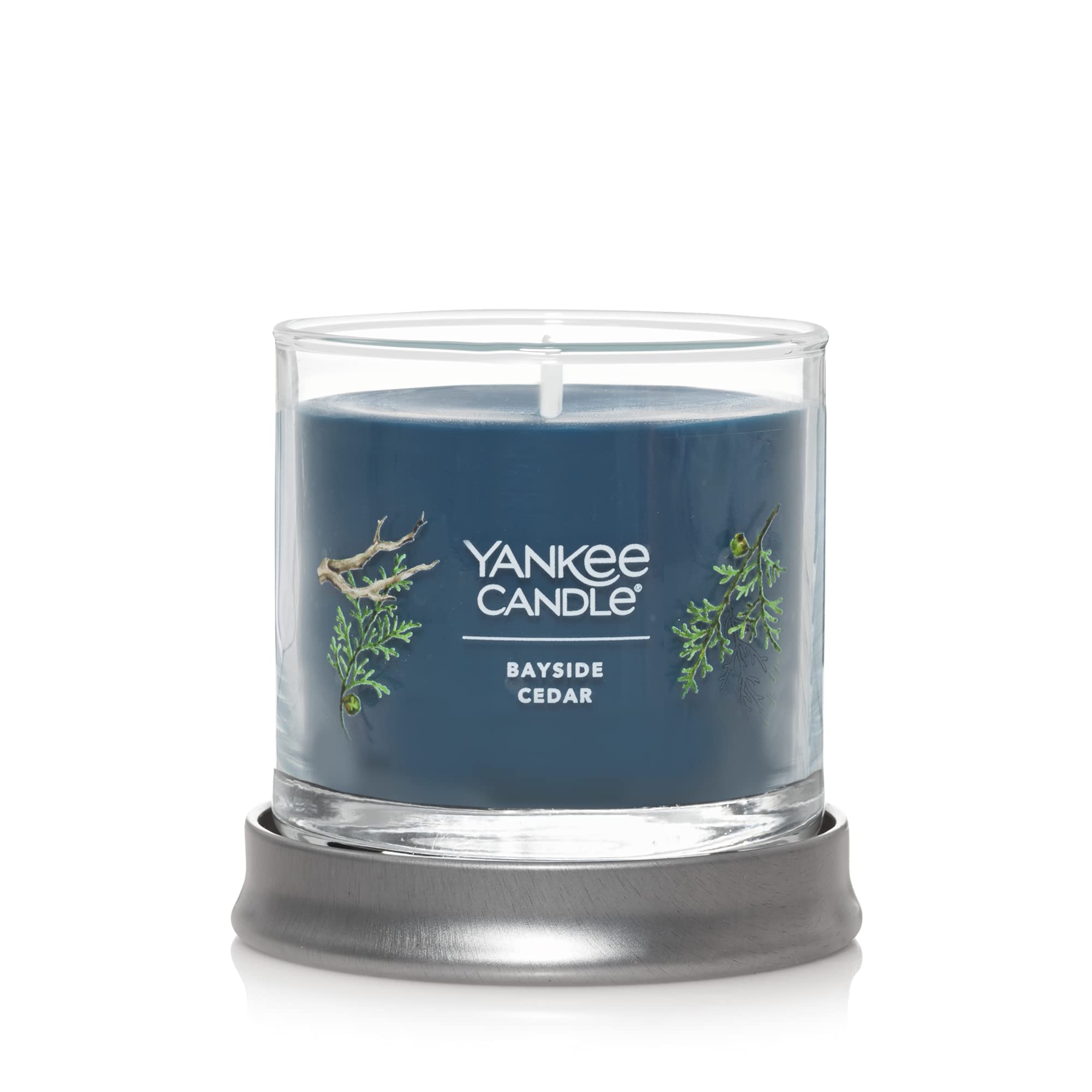 Yankee Candle Bayside Cedar Scented Candle - 4.3oz Small Tumbler with Single Wick, 20+ Hours Burn Time | Home Decor, Relaxation & Aromatherapy for Living Room, Bedroom or Office