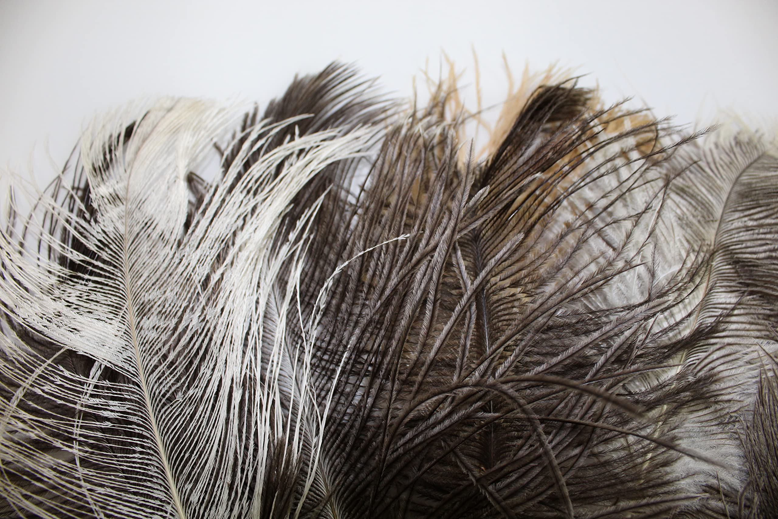 Natural Catnip Infused Felt Ball Cat Toy with Ostrich Feathers - 5 Pack Interactive Cat Play Toys for Indoor Kittens, Boredom Relief & Exercise - Perfect for Playtime, Training & Bonding with Your Feline Friend