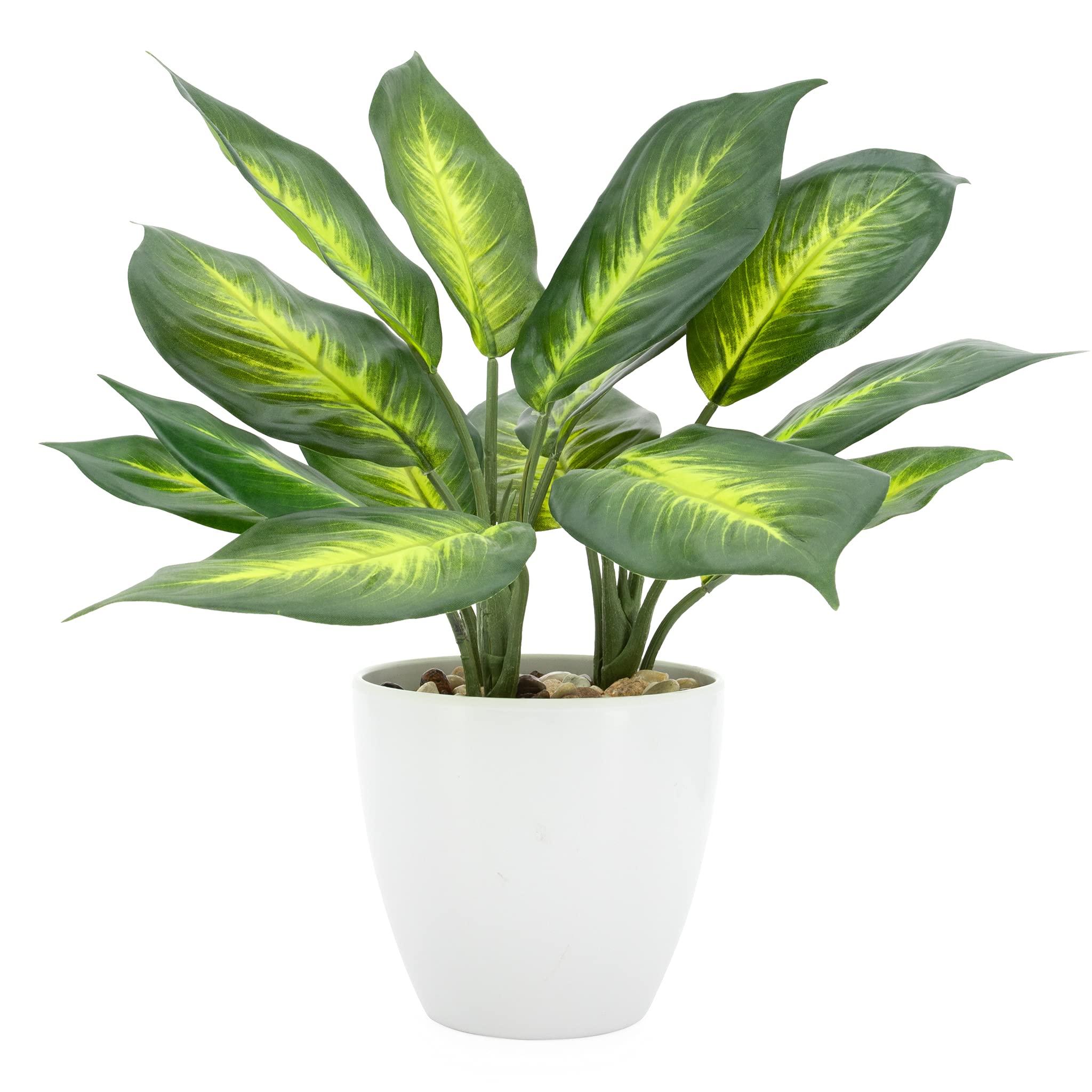 Torre & Tagus Artificial Dieffenbachia Potted Plant - Realistic Faux Indoor Houseplant for Home Decor, Office, Living Room & Bedroom